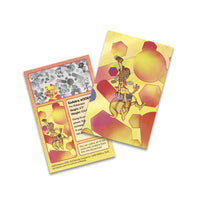 Thumbnail for Pokémon TCG: SV - 151 Mini Tin - PokeRvmPokemon Tins