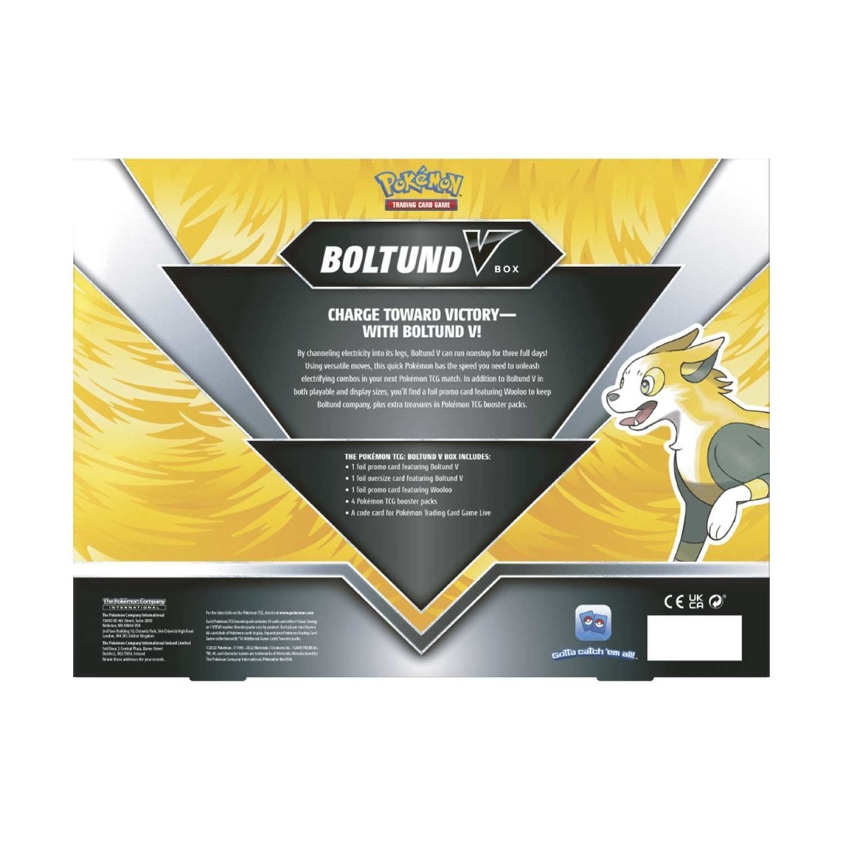 Pokémon TCG: Boltund V Box - PokeRvmCollection Box